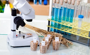 Лаборатория "АКАДЕМТЕСТ" продолжает работу по испытаниям пищевой продукции и объектов окружающей среды!
