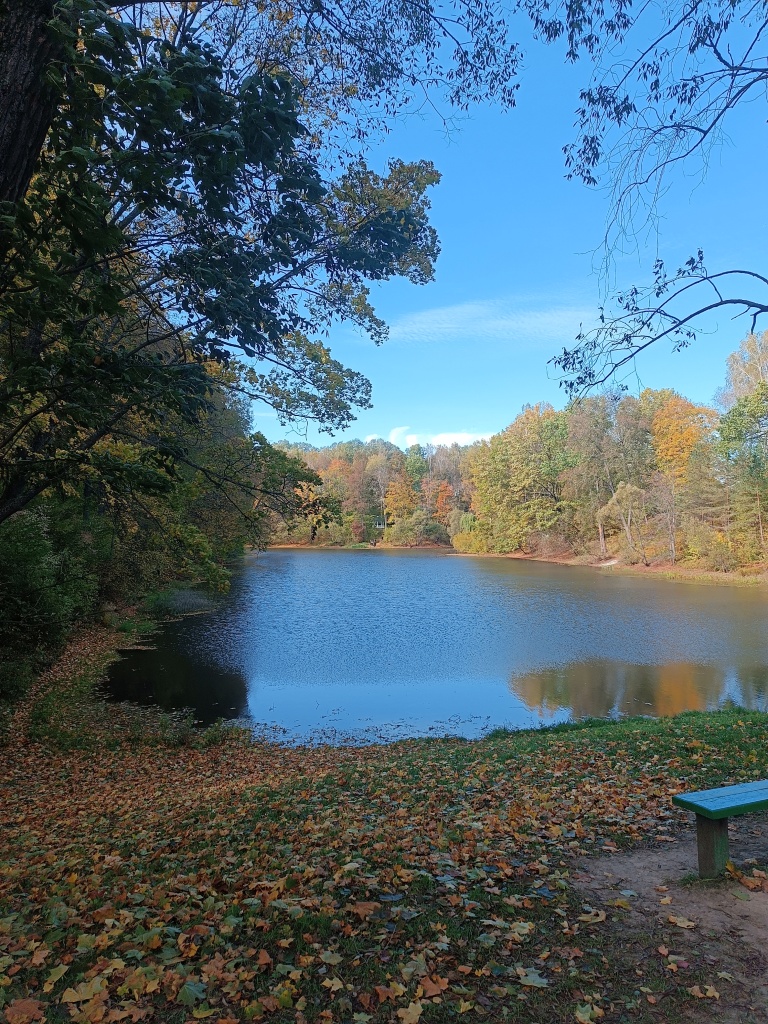 IMG_20251004_131754.jpg